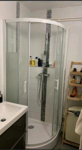 a glass shower in a bathroom with a sink at 5 pièces traversant proche paris in Poissy