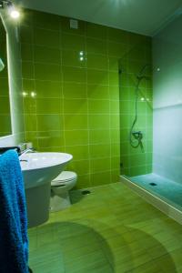 baño verde con aseo y ducha en Sagres Natura en Sagres