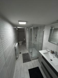 uma casa de banho com um chuveiro e um lavatório. em Appartamento Regina Margherita em Nápoles