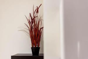 un jarrón negro con una planta sobre una mesa en Quiet studio Center Lyon AIL, en Gare des Brotteaux 17 fotos más