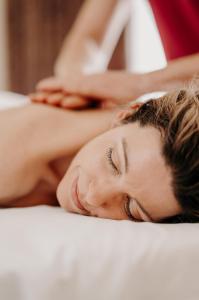 Hosté ubytování Der Eisvogel - Wellness- & Genusshotel
