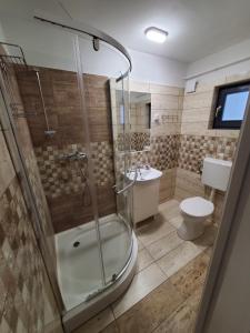 een badkamer met een douche, een toilet en een wastafel bij Szilvásváradi Kemencés Apartmanok in Szilvásvárad