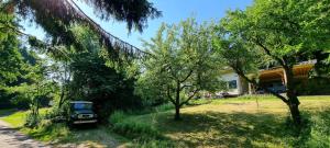 Příroda nedaleko apartmánu + 27 fotografií