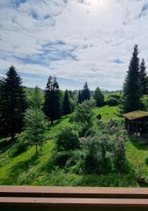 Příroda nedaleko apartmánu
