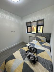 a bedroom with two dogs laying on a bed at Impeccable 2-Bed Apartment in London in Hendon