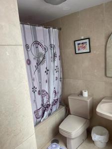 ein Bad mit einem WC und einem Duschvorhang in der Unterkunft Oasis in Las Palmas de Gran Canaria