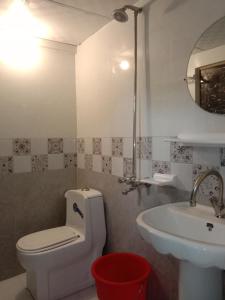 La salle de bains est pourvue de toilettes et d'un lavabo. dans l'établissement Executive Guest House, à Islamabad