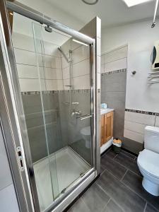 a bathroom with a shower and a toilet at LA CALADE in Trigance