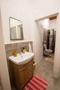 een badkamer met een wastafel en een toilet bij Winaria in Erdut