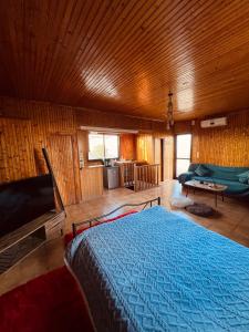 a bedroom with a bed and a flat screen tv at Attic House in Patra