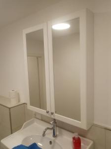a bathroom with a sink and a medicine cabinet at Ferienappartement mit Schleiblick 20 in Karschau