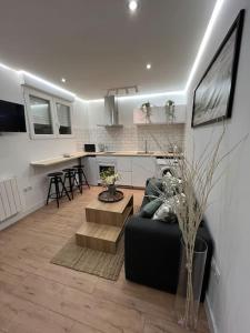 uma sala de estar com um sofá e uma cozinha em Suite RR Fruela 641A em Oviedo