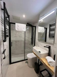 uma casa de banho com um chuveiro, um WC e um lavatório. em Suite RR Fruela 641A em Oviedo