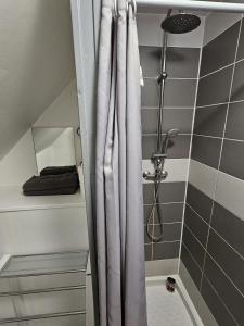 ムン・シュル・ロワールにあるMeung sur Loire sur la route des Châteauxのバスルーム(シャワー、シャワーカーテン付)が備わります。