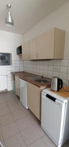 a kitchen with a sink and a stove top oven at Apartmán STŘEVLIK Oldřichov v Hájích in Oldřichov v Hájích