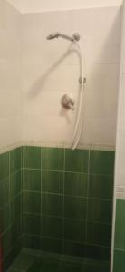 a shower in a bathroom with a green tile wall at Casa Gaia in Palermo
