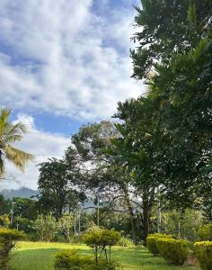 un parque con árboles y césped y un cielo nublado en Kothmale Holiday Resort en Gampola