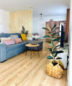 Khu vực ghế ngồi tại La Casita del Drago, sol y relax