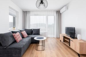 Televízia a/alebo spoločenská miestnosť v ubytovaní Prokocim Kosocicka Apartment