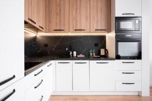 Kuchyňa alebo kuchynka v ubytovaní Prokocim Kosocicka Apartment