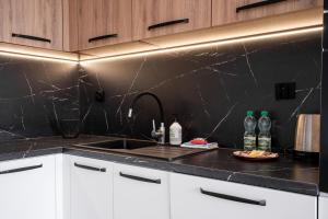 Kuchyňa alebo kuchynka v ubytovaní Prokocim Kosocicka Apartment
