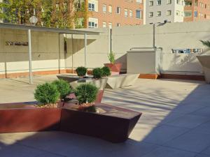 un patio con tre piante in vaso su un edificio di Ibis budget Vitoria Gasteiz a Vitoria-Gasteiz