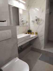 bagno con servizi igienici, lavandino e specchio di Apartman Iva a Novalja (Novaglia)