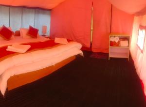A bed or beds in a room at Saser Camp