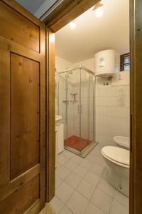 a bathroom with a toilet and a glass shower at Albergo Diffuso Forgaria Monte Prat in Forgaria nel Friuli