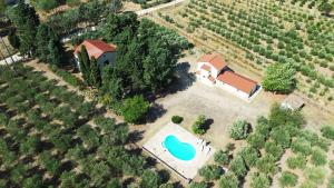 an aerial view of a house in a vineyard at Agriturismo Tenuta Feraudo in Labonia