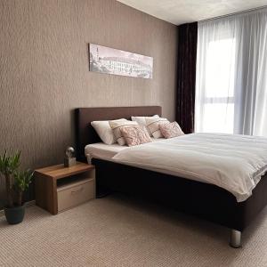 a bedroom with a large bed and a window at Apartmán Leonardo - city center in Trnava