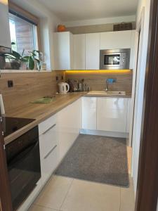 Kuchyň nebo kuchyňský kout v ubytování Apartmán s wellness službami
