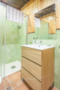 un baño con lavabo y ducha en Casa Rural Tio Maceta, en Bullas
