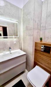 un bagno con lavandino, WC e specchio di Hanza Tower De Lux Green a Stettino Altre 10 foto