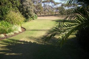 a green lawn with a palm tree in a park at Staandakkie Guest Cottage in Bredasdorp