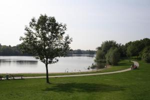un parco con un lago, un albero e una panchina di Schönes Apartment im Dachgeschoss in Mannheim Nahe Rheinauer See a Mannheim
