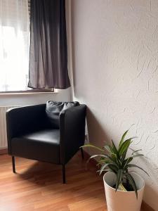 ein schwarzer Stuhl und eine Pflanze in einem Raum in der Unterkunft Entire Flat for you Schwetzingen,Mannheim & HD in Oftersheim