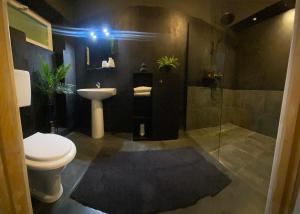 y baño con aseo, lavabo y ducha. en Celebrity Apartment Brasov, en Brasov