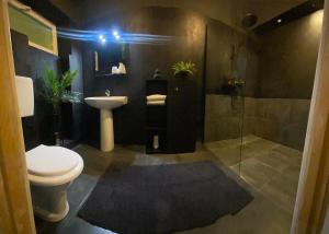 a bathroom with a toilet and a sink and a shower at Celebrity Apartment Brasov in Braşov
