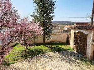 a courtyard with trees and a brick building with a tree at La maison d'art et d'hôtes in Leuglay