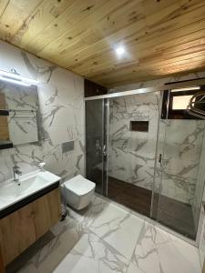 a bathroom with a shower and a toilet and a sink at Çıralı Villa's in Kemer
