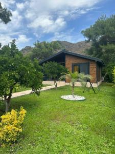 a house with a palm tree in a yard at Çıralı Villa's in Kemer