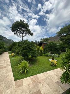 a garden with trees and plants and a house at Çıralı Villa's in Kemer