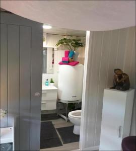 ein Bad mit einem WC und einem Waschbecken in der Unterkunft Le Refuge Zen et bien-être bulle in Montpouillan