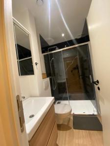 a bathroom with a shower and a toilet and a sink at Cozy Flat in Brussels