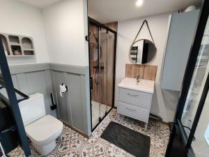 a bathroom with a toilet and a sink and a mirror at La petite Flânerie in Mondrepuis