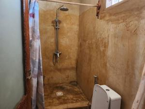 a bathroom with a toilet and a shower at Sunset Getaway- Villa Makuti in Kizimkazi