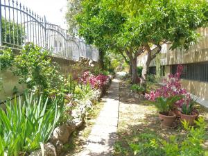 um jardim com flores e árvores e uma cerca em villa laria em Tropea