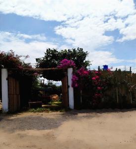 Ein Zaun mit Blumen und einem Tor. in der Unterkunft Bugambilia glamping in Ica