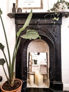 a potted plant and candles in front of a fireplace at Whole Stylish Apartment 1880s Guinness Worker House in Dublin